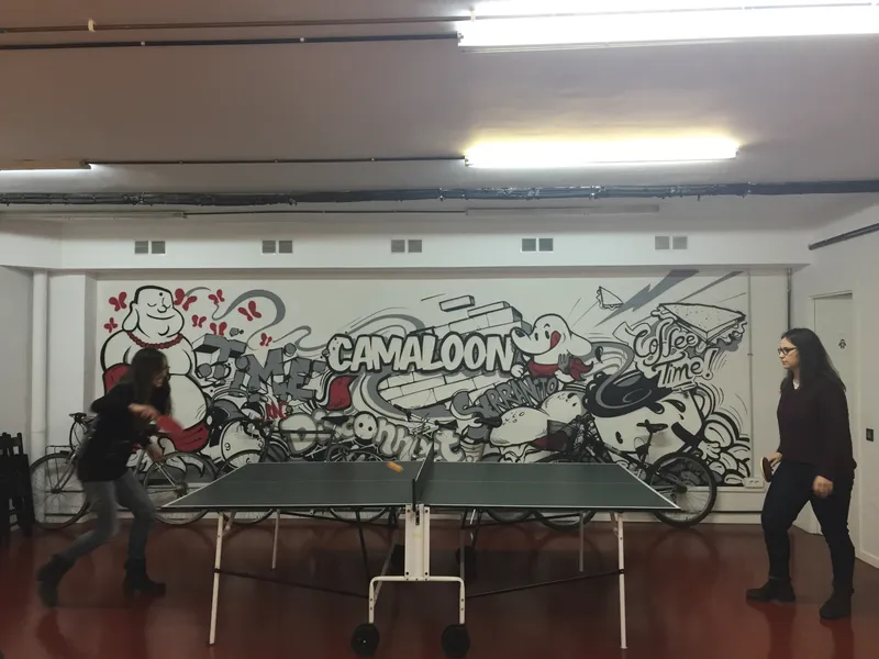 The Camaloon team in its early years